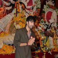 Ranbir Kapoor - Celebrities celebrates Durga Puja
